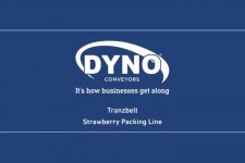 Tranzbelt Strawberry Packing Line
