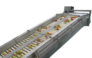 Dynochain Roller Conveyor | Chain Conveyors